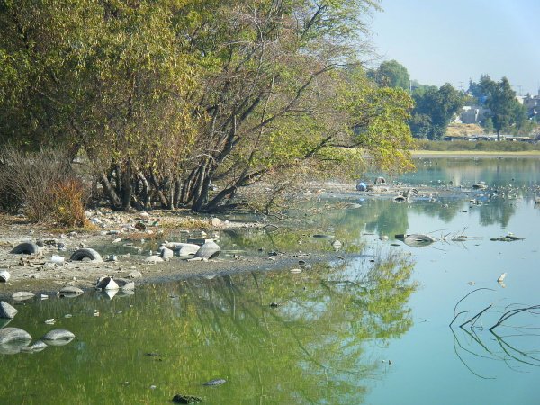 Грязный водоём