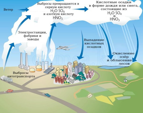 Кислотные осадки