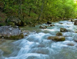 Все решено: Коккозка не станет донором для Чернореченского водохранилища