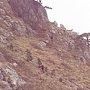 Крымские спасатели снимали с горы туриста из Армавира