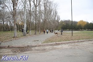 В Керчи не состоялись кинологические соревнования