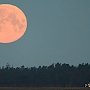 Крымчане завтра смогут увидеть самую большую за 70 лет Луну