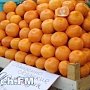 Турецкие мандарины с парома «Варяг» не впустили в Крым