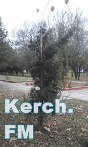 В Керчи в парке вандалы поломали скамейки и деревья