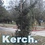 В Керчи в парке вандалы поломали скамейки и деревья