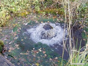 В Крыму одобрили проект использования подземных вод участниками СЭЗ