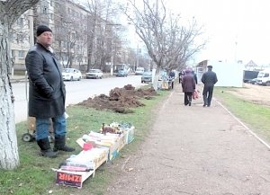 Высадят деревья и кустарники на 33 миллиона рублей