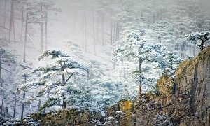 В понедельник в Крыму снег, на дорогах гололедица