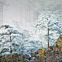 В понедельник в Крыму снег, на дорогах гололедица