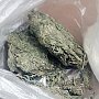 В одном из гаражей Крыма нашли залежи марихуаны