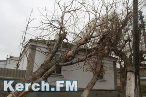 В Крыму предупреждают о сильном ветре на три дня