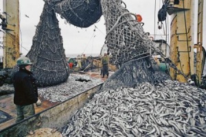 Крыму предрекли большое рыбное будущее