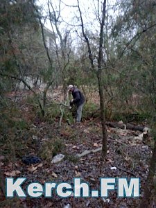 В Керчи жители пилят деревья на территории бывшего профилактория