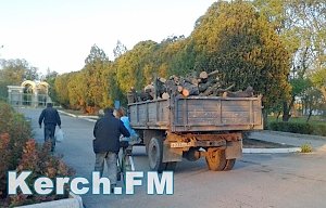 Керчан приглашают на сход граждан по вопросу застройки парков