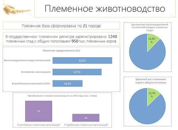 В.И.Кашин: «Приоритетные направления законодательного обеспечения развития молочного животноводства до 2020 года»