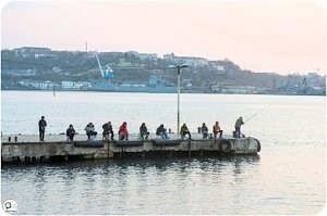 В Голландию и Инкерман катера ходить не будут