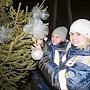 Строители Крымского моста посадили новогоднюю ёлку