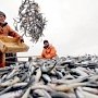 Россия надеется на крымскую рыбу