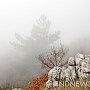 Новый год в Крыму начинается в тумане, объявлено штормовое предупреждение