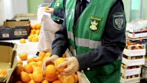 Турки снабжают Крым апельсинами, а Украина лесом