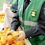 Турки снабжают Крым апельсинами, а Украина лесом
