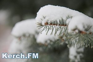 Завтра в Крыму прогнозируют сильный снег, гололед и ветер