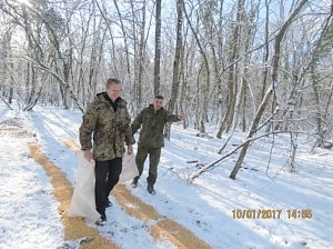 Кабанов подкармливают, чтобы они не ушли в Крым