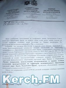 В Керчи, несмотря на обещания, не убирают опасную ветку на детской площадке, — читатель