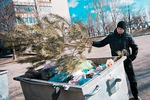 Куда крымчане могут выбросить новогодние ёлки?