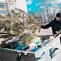 Куда крымчане могут выбросить новогодние ёлки?