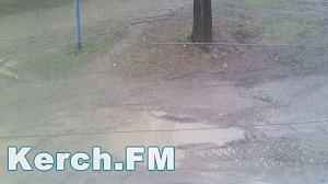 В Керчи из-за грязи во дворе жильцы не могут нормально вынести мусор