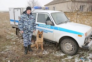Служебная овчарка по кличке Юта дала возможность оперативно задержать опасного злоумышленника в Крыму