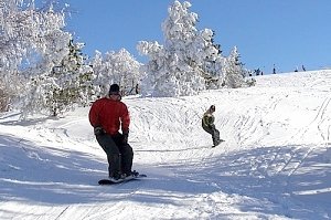 Простые крымчане оказались вернее, честнее…