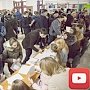 Крымские школьники проверили свои знания математики