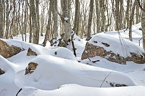 В Симферополе готовятся к спецоперации