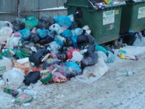 Администрация столицы грозит проверками организациям, какие свозят мусор на контейнерные площадки