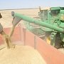 За январь Россельхознадзор Крыма проинспектировал около 16 тысяч тонн зерна