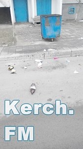 В Керчи высыпается часть мусора при вывозе его спецавтомобилями