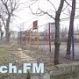 В Керчи в районе Войкова опять массово вырубают деревья, — читатели