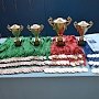 Студенты КФУ – победители и призеры в тхэквондо (ВТФ)
