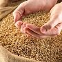 Сельхозтоваропроизводители Симферопольского района рассчитывают на получение 700 млн рублей помощи, — Бойко