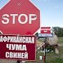 В Белогорском районе обнаружили нарушающие закон захоронения свиней, заражённых АЧС