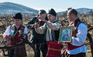 В севастопольской Золотой балке отметили праздник виноградарей и виноделов Трифон Зарезан