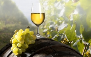 Крымские вина оценили в Риме