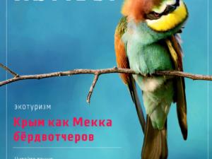 Как дельфины лечат топ-менеджеров и кто такие бёрдвотчеры — скоро в «Крымском журнале»