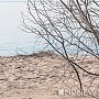 Не все пляжи Крыма встретят туристов чистыми