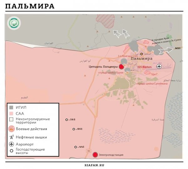 Пальмира наша. Работа над ошибками — на отлично