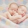 В Керчи родились 7 малышей в первый день весны