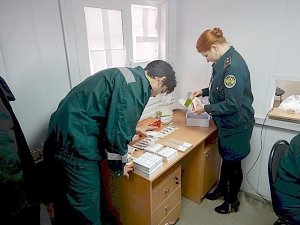 Таможенники пресекли ввоз стоматологических препаратов общей стоимостью более 300 тыс руб в Крым