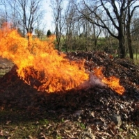 МЧС России предупреждает: сжигание сухой травы опасно!